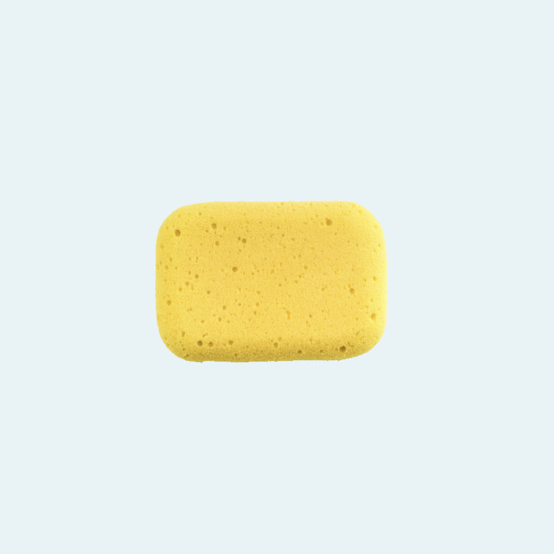 Flat Sponge
